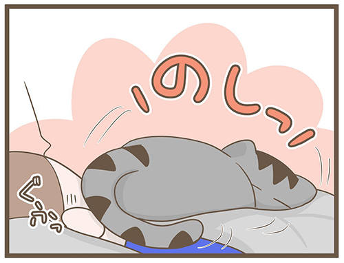 おふとんとカルと私・終3