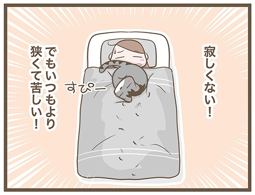 おふとんとカルと私・終4