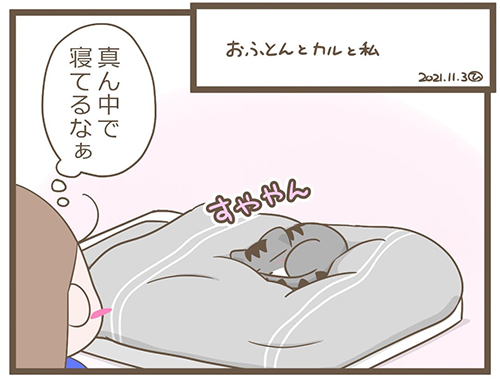 お布団占領猫