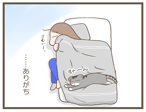 おふとんとカルと私3