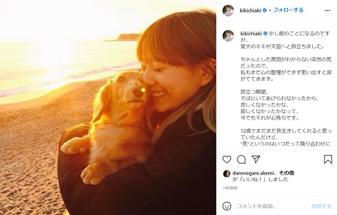 伊藤千晃 愛犬 別れ 死 キキ