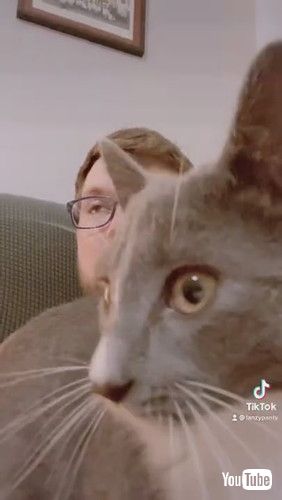 「Gah Dammit Greg || ViralHog」