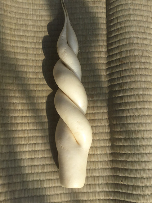 「ソフトクリームだ」「あの槍かと思った」　“ヘンテコ大根チャンピオンシップ”3年連続王者の威厳がすごい