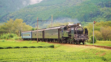駅弁 静岡 大井川鐵道