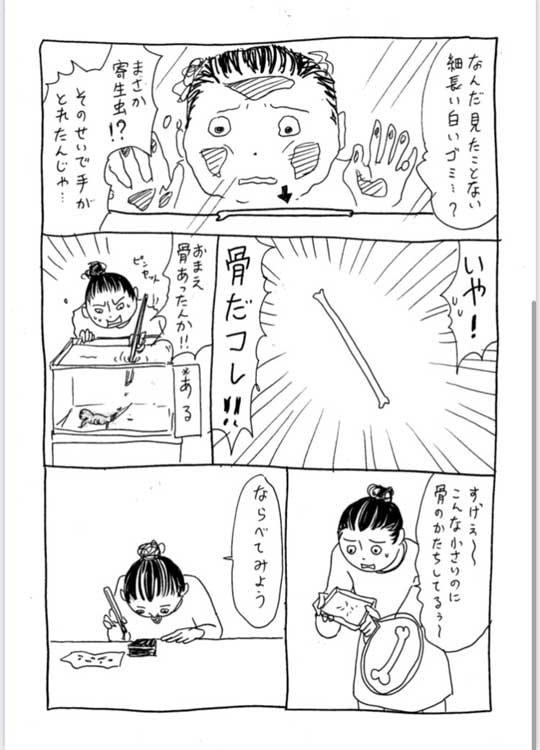 ウーパールーパー びっくり 右手 とれた 骨 メキシコサンショウウオ