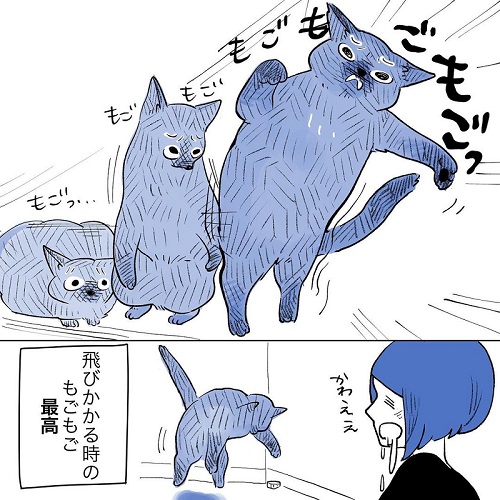 長谷川ろくさん