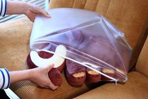 マンモス 氷漬け クッション ぬいぐるみ