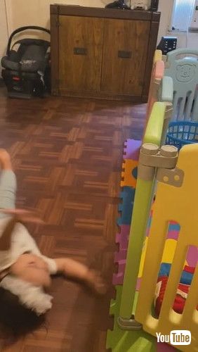 「Confident Tyke Takes a Tumble || ViralHogg」