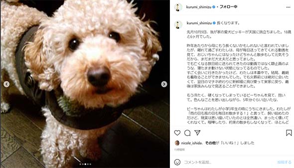 清水くるみ 愛犬 天国 旅立ち 家族