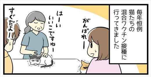 ワクチン接種で気付いたこと