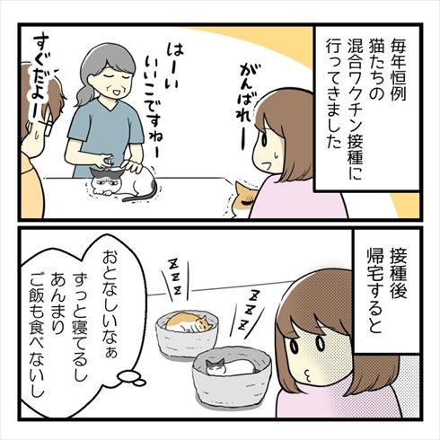ワクチン接種で気付いたこと