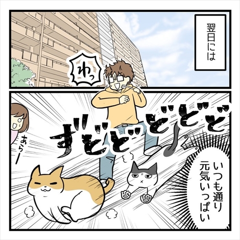 ワクチン接種で気付いたこと