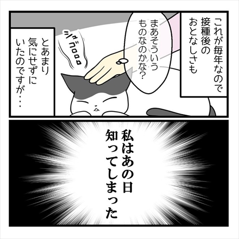 ワクチン接種で気付いたこと