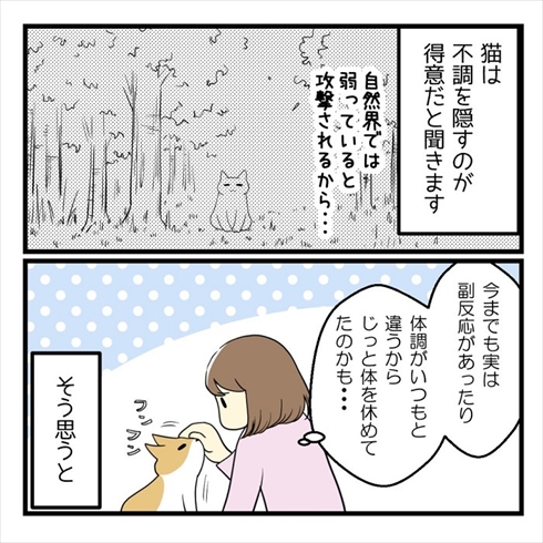 ワクチン接種で気付いたこと