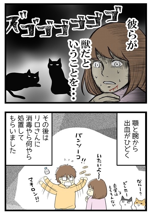 ワクチン接種で気付いたこと