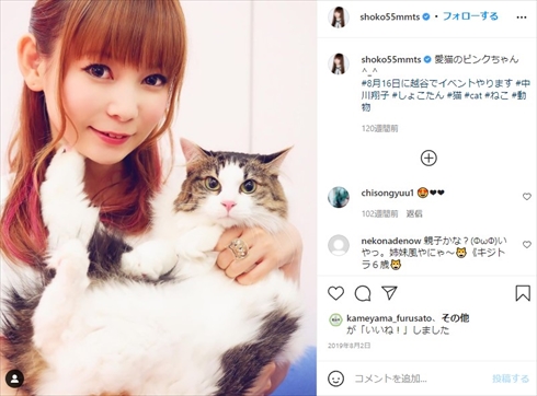 中川翔子 猫 虐待 YouTube 動画 保護猫 ツイッター