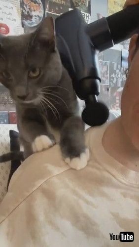 「Kitty Steals Personal Massage || ViralHog」