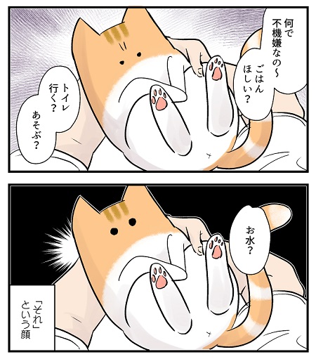 ロボット掃除機ハプニング