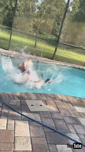 「Little Boy Leaps Into Pool to Save Anna Doll || ViralHog」