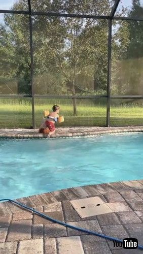 「Little Boy Leaps Into Pool to Save Anna Doll || ViralHog」