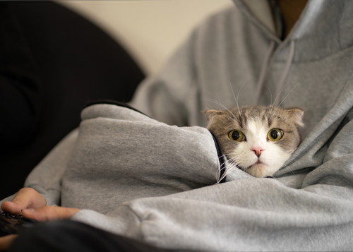 にゃんガルーパーカー2