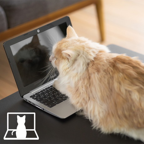 にゃんガルーパーカー2