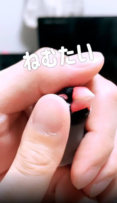 リトルチキンクラブ（文鳥のふみちゃん）さん