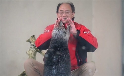 鳥羽水族館ラッコのキラちゃん
