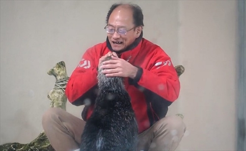 鳥羽水族館ラッコのキラちゃん