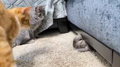 帰っていくあやめさん