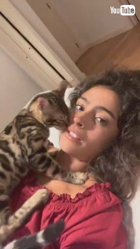 「Pet Cat Kisses and Suckles on Owners Face || ViralHog」