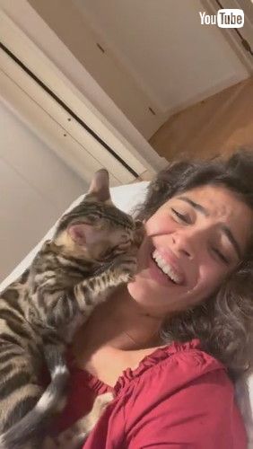「Pet Cat Kisses and Suckles on Owners Face || ViralHog」