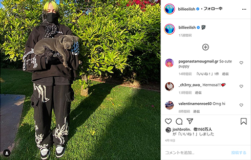 ビリー・アイリッシュ 炎上 ビーガン ベジタリアン 感謝祭 七面鳥 ターキー