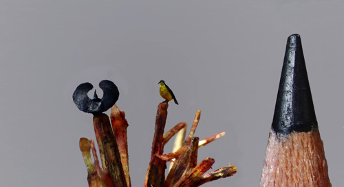 ミリサイズのマイクロ彫刻