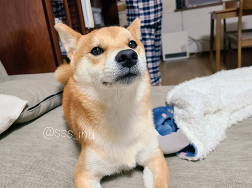 後ろのお父さんが気になる麦くん