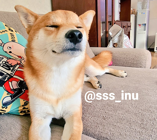 素人は黙っとれ麦くん