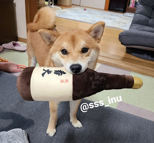 酒瓶のぬいぐるみをくわえた麦くん