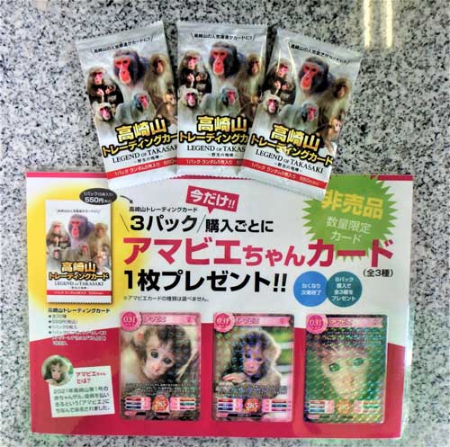 高崎山 自然動物園 サル 野生猿 トレーディングカード