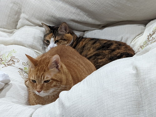 どんくさくんとちまきちゃん