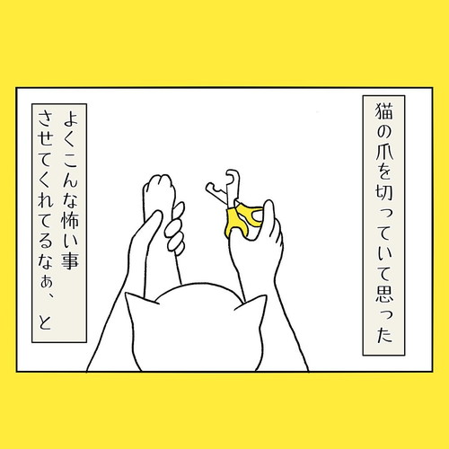 ネコちゃんはすごい