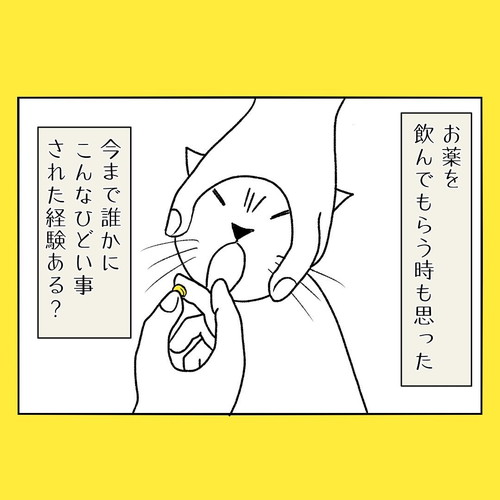 ネコちゃんはすごい