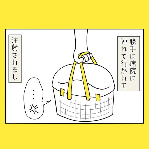 ネコちゃんはすごい