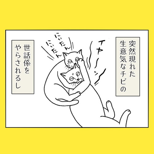 ネコちゃんはすごい