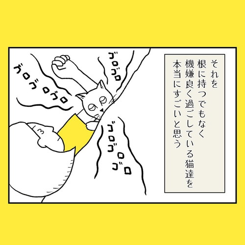 ネコちゃんはすごい