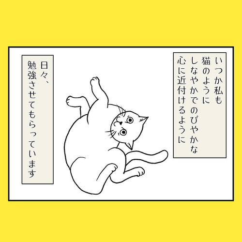 ネコちゃんはすごい