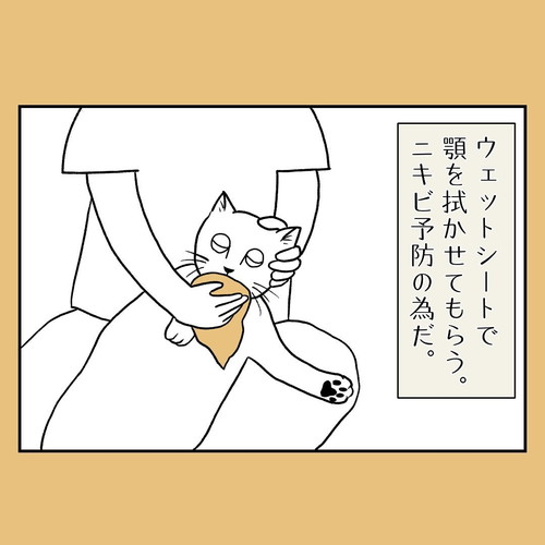 言い方を変えてみると