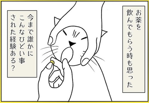 ネコちゃんすごい