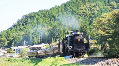 駅弁 秩父 SLパレオエクスプレス