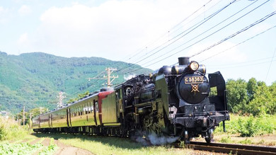 駅弁 秩父 SLパレオエクスプレス