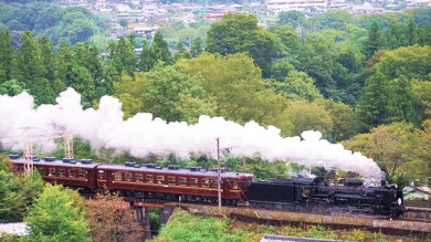 駅弁 秩父 SLパレオエクスプレス